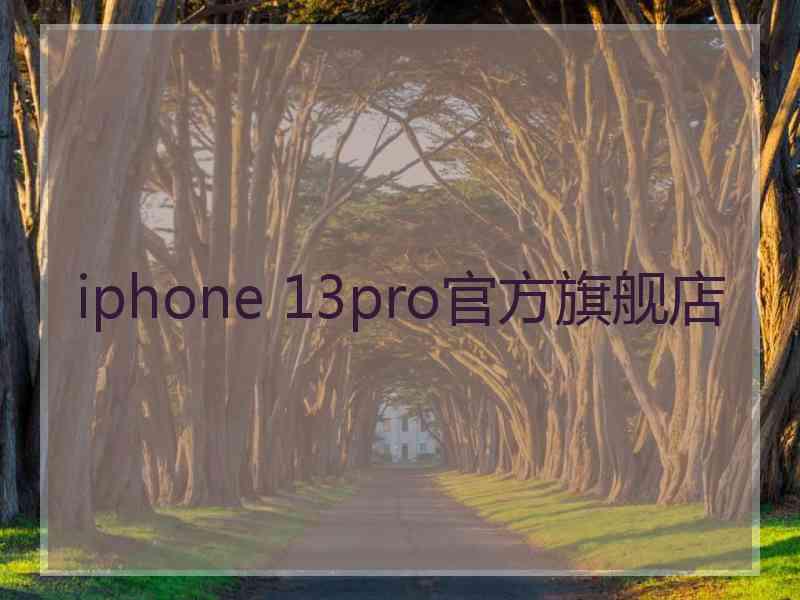 iphone 13pro官方旗舰店