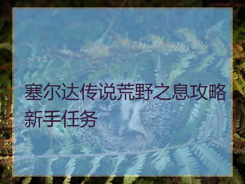 塞尔达传说荒野之息攻略新手任务