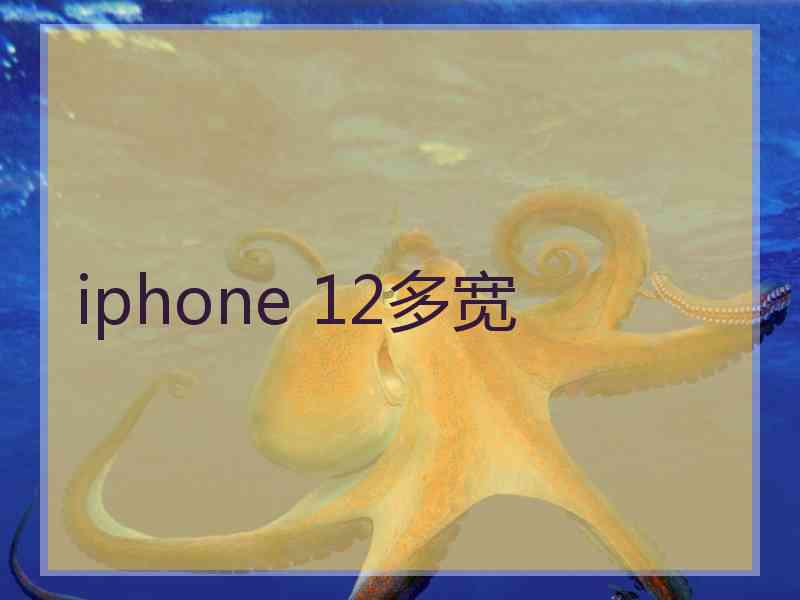 iphone 12多宽