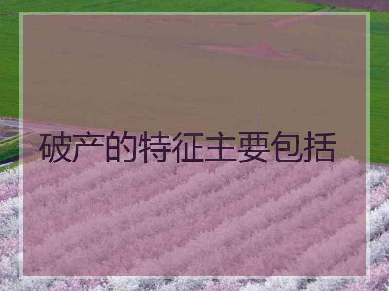 破产的特征主要包括