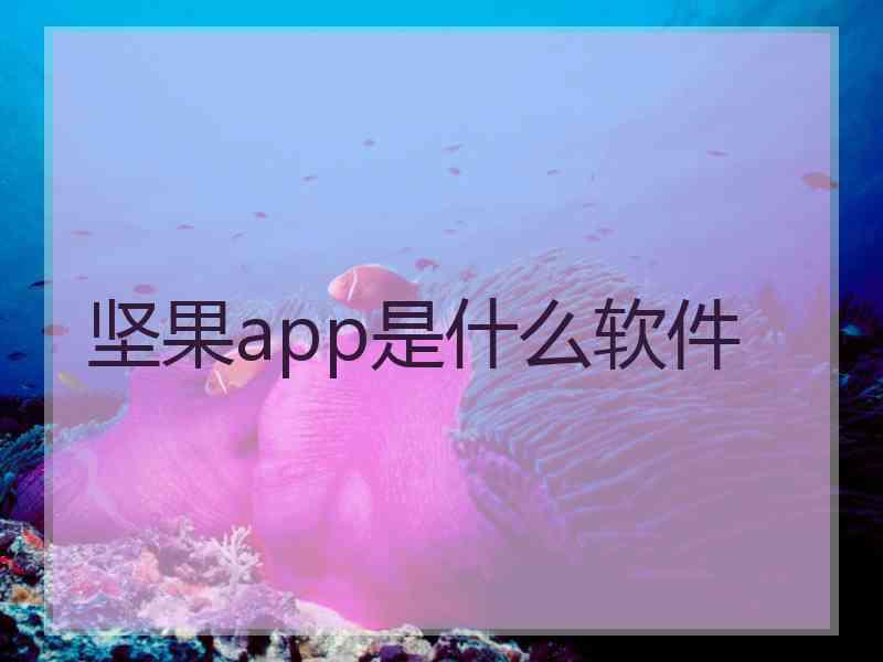 坚果app是什么软件