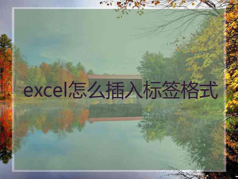 excel怎么插入标签格式