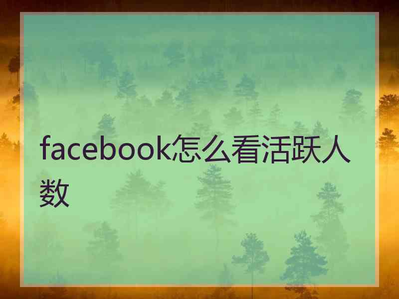 facebook怎么看活跃人数