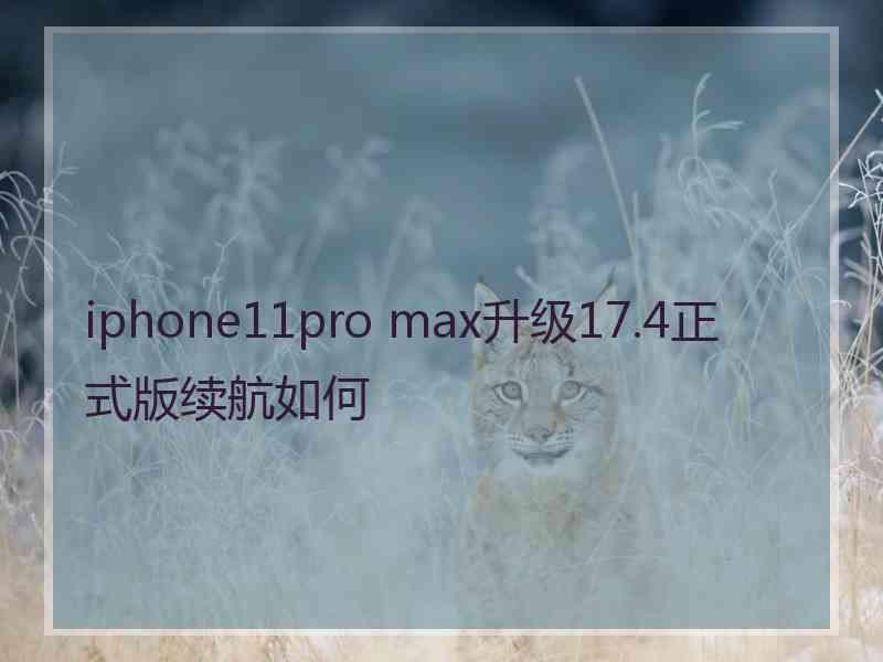 iphone11pro max升级17.4正式版续航如何