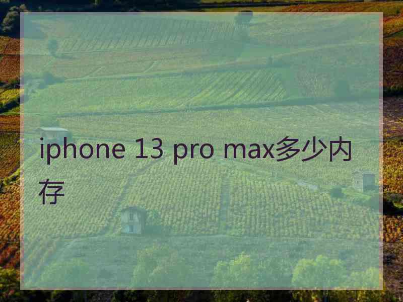 iphone 13 pro max多少内存