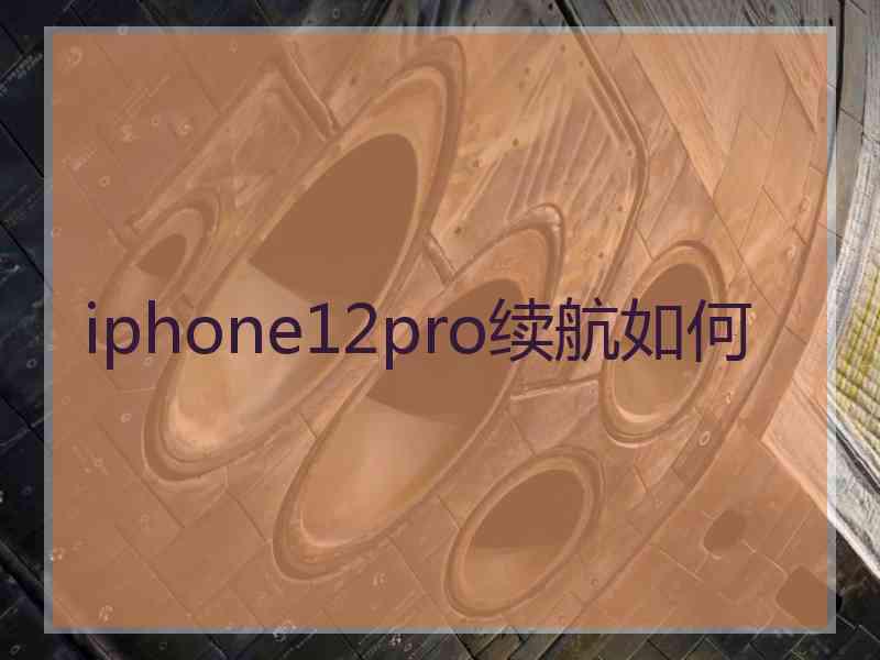 iphone12pro续航如何