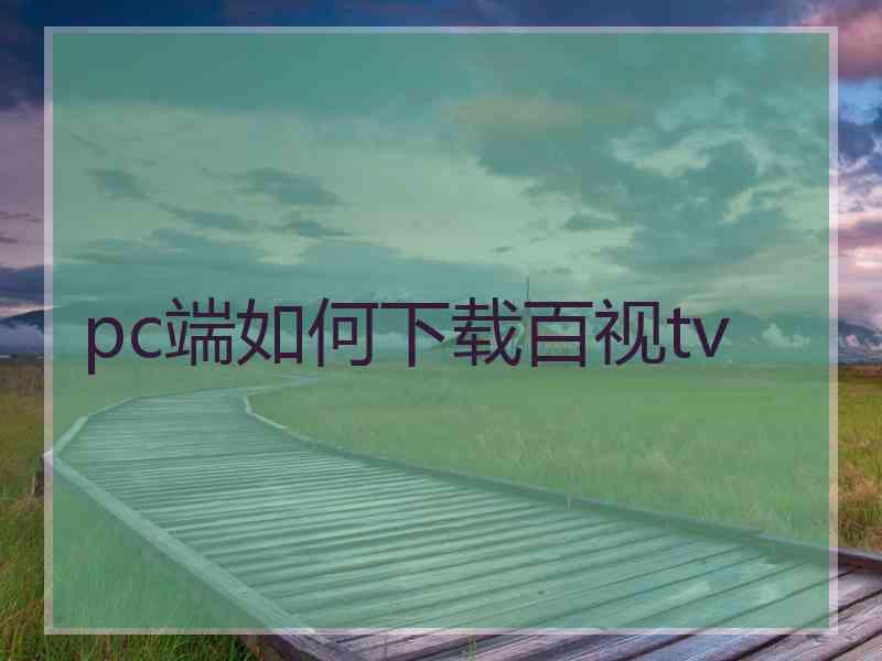 pc端如何下载百视tv