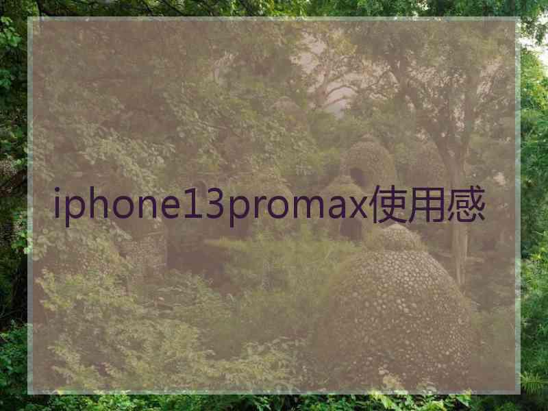 iphone13promax使用感