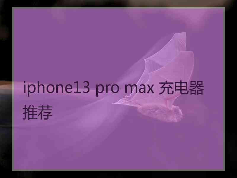 iphone13 pro max 充电器推荐