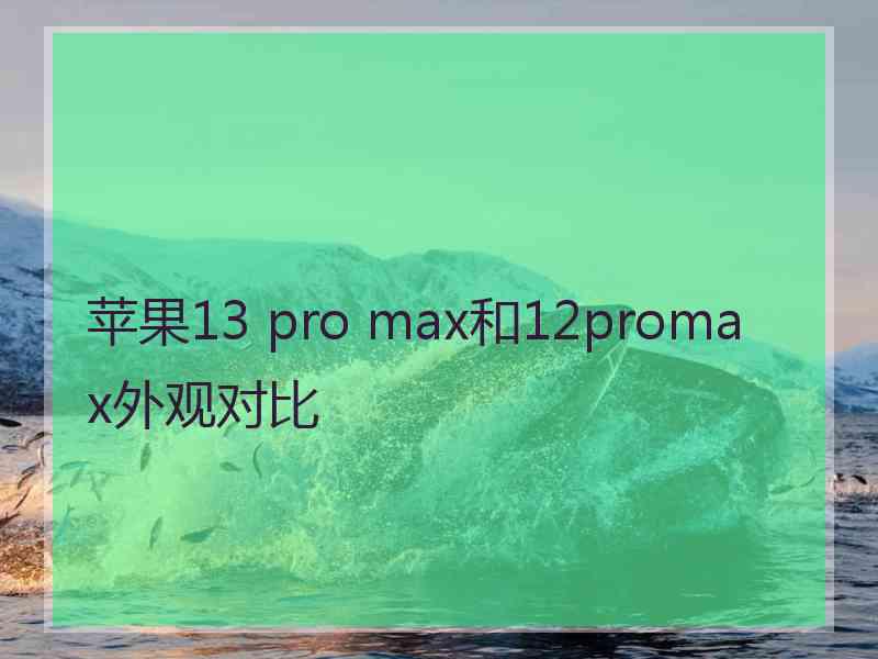 苹果13 pro max和12promax外观对比