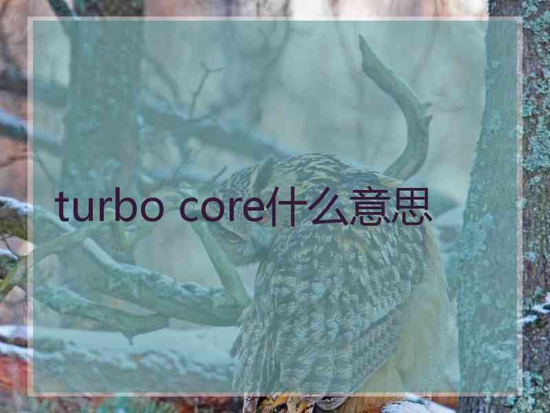 turbo core什么意思