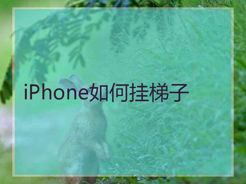 iPhone如何挂梯子