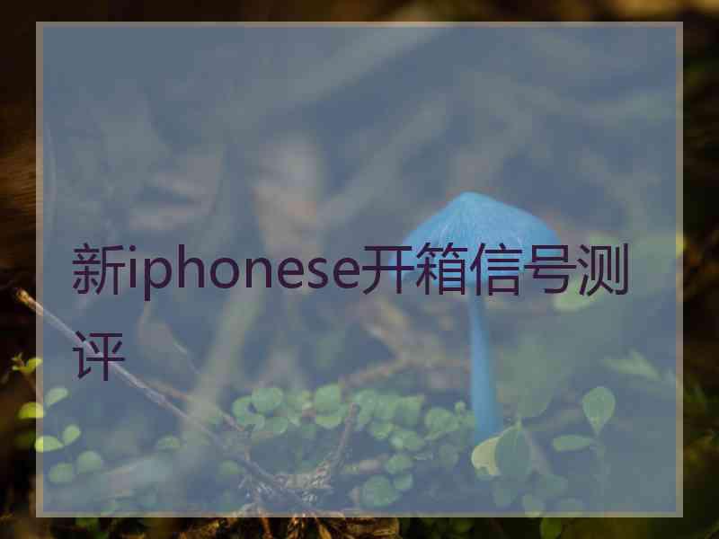 新iphonese开箱信号测评