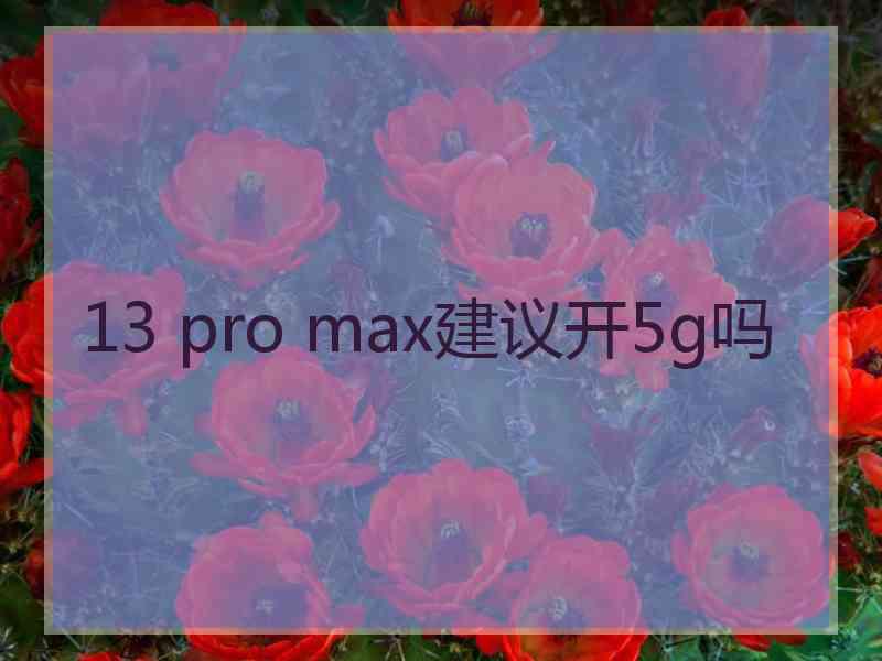 13 pro max建议开5g吗