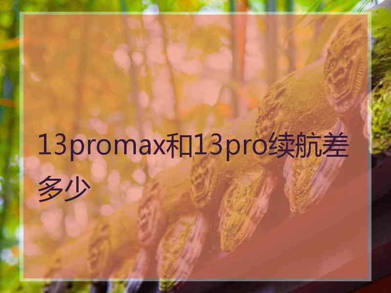 13promax和13pro续航差多少