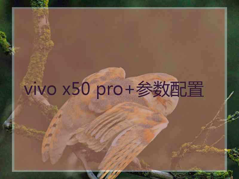 vivo x50 pro+参数配置