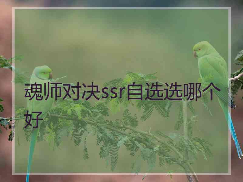 魂师对决ssr自选选哪个好