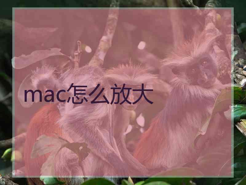 mac怎么放大