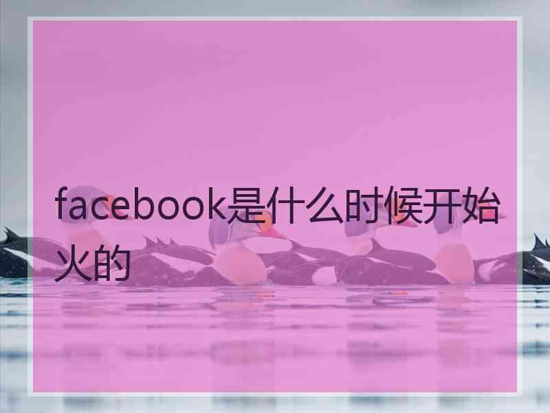 facebook是什么时候开始火的