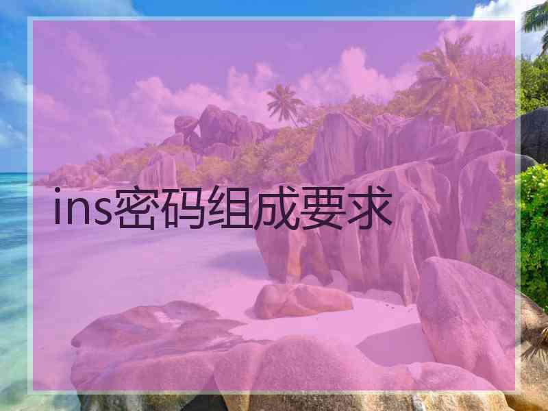 ins密码组成要求