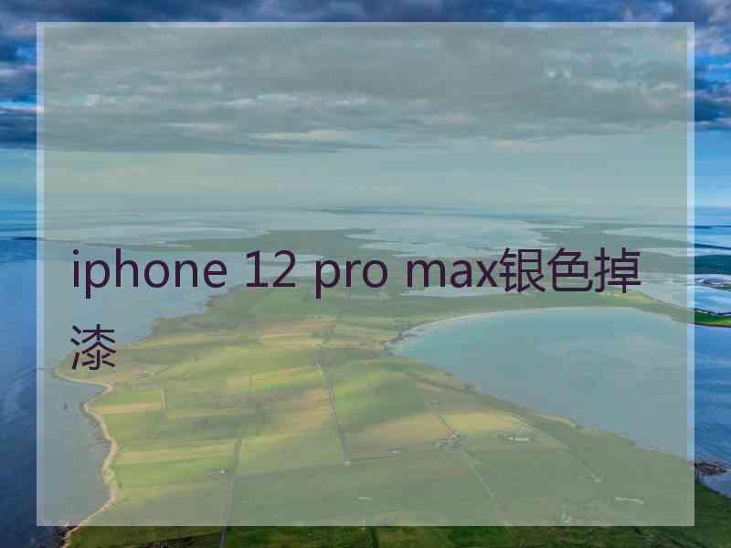 iphone 12 pro max银色掉漆